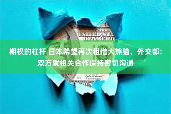 期权的杠杆 日本希望再次租借大熊猫，外交部：双方就相关合作保持密切沟通