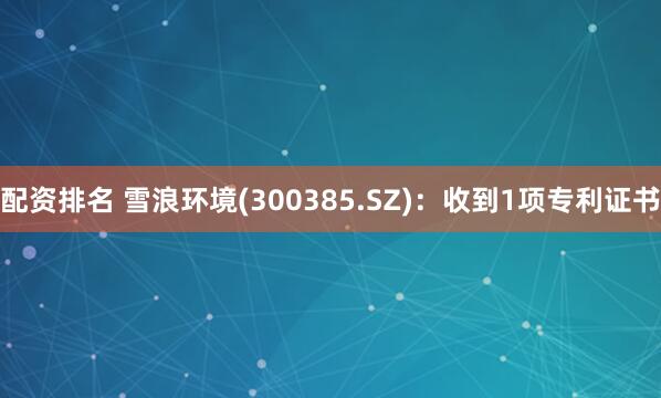 配资排名 雪浪环境(300385.SZ)：收到1项专利证书