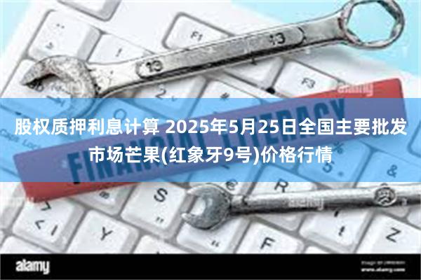 股权质押利息计算 2025年5月25日全国主要批发市场芒果(红象牙9号)价格行情