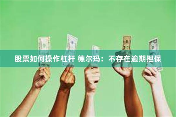 股票如何操作杠杆 德尔玛：不存在逾期担保