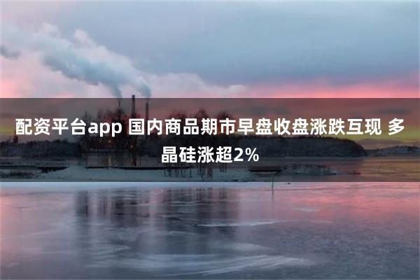 配资平台app 国内商品期市早盘收盘涨跌互现 多晶硅涨超2%