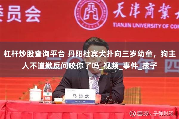 杠杆炒股查询平台 丹阳杜宾犬扑向三岁幼童，狗主人不道歉反问咬你了吗_视频_事件_孩子