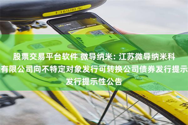 股票交易平台软件 微导纳米: 江苏微导纳米科技股份有限公司向不特定对象发行可转换公司债券发行提示性公告
