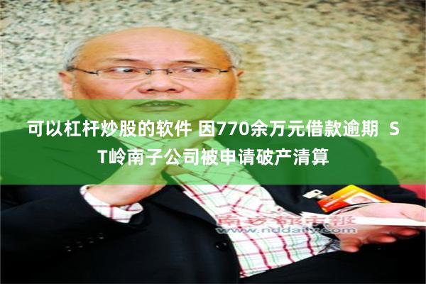 可以杠杆炒股的软件 因770余万元借款逾期  ST岭南子公司被申请破产清算