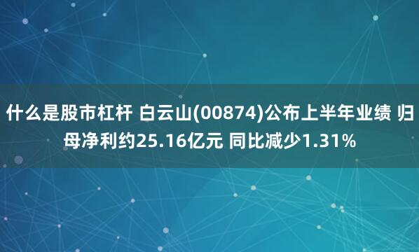 什么是股市杠杆 白云山(00874)公布上半年业绩 归母净利约25.16亿元 同比减少1.31%
