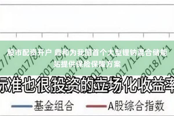 股市配资开户 鼎和为我国首个大型锂钠混合储能站提供保险保障方案