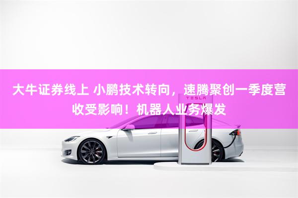 大牛证券线上 小鹏技术转向，速腾聚创一季度营收受影响！机器人业务爆发