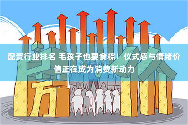 配资行业排名 毛孩子也要食粽！仪式感与情绪价值正在成为消费新动力
