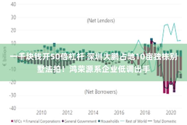 一千块钱开50倍杠杆 深圳大鹏占地10亩独栋别墅法拍！鸿荣源系企业低调出手