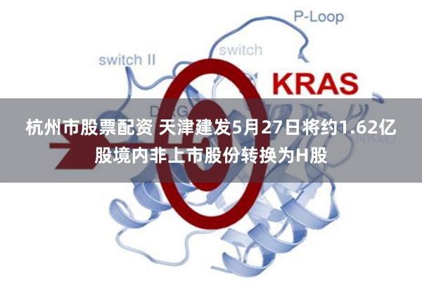 杭州市股票配资 天津建发5月27日将约1.62亿股境内非上市股份转换为H股