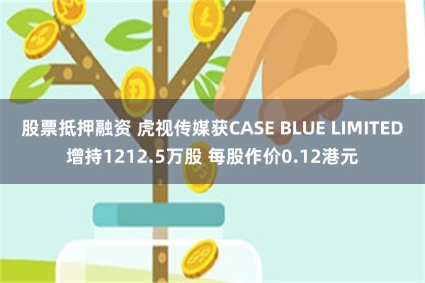股票抵押融资 虎视传媒获CASE BLUE LIMITED增持1212.5万股 每股作价0.12港元