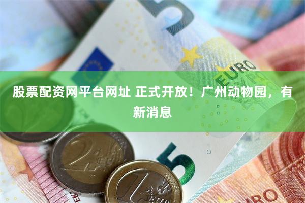 股票配资网平台网址 正式开放！广州动物园，有新消息