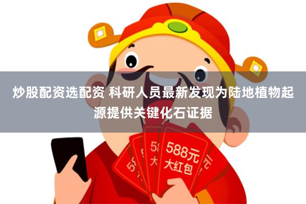 炒股配资选配资 科研人员最新发现为陆地植物起源提供关键化石证据