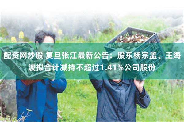 配资网炒股 复旦张江最新公告：股东杨宗孟、王海波拟合计减持不超过1.41%公司股份