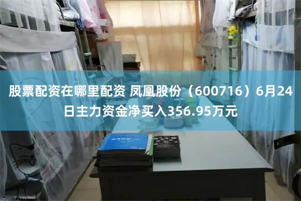 股票配资在哪里配资 凤凰股份（600716）6月24日主力资金净买入356.95万元