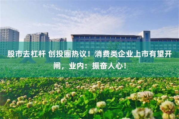 股市去杠杆 创投圈热议！消费类企业上市有望开闸，业内：振奋人心！