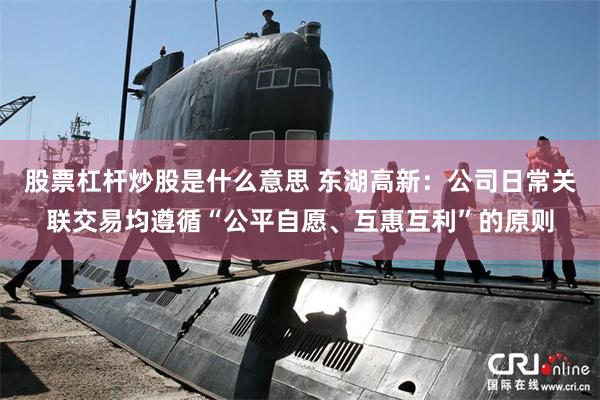 股票杠杆炒股是什么意思 东湖高新:公司日常关联交易均遵循“公平自愿、互惠互利”的原则