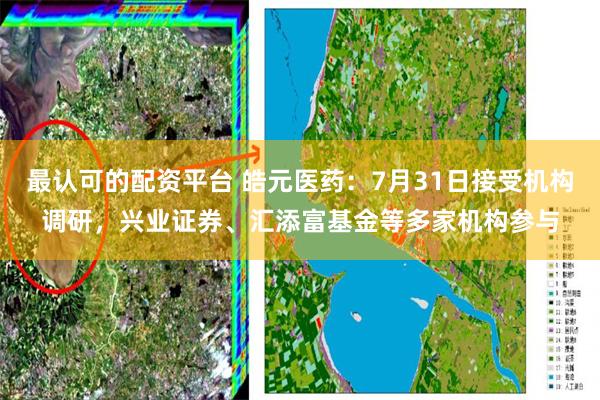 最认可的配资平台 皓元医药：7月31日接受机构调研，兴业证券、汇添富基金等多家机构参与