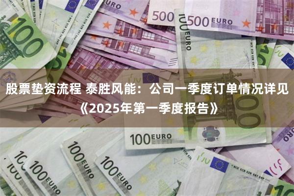 股票垫资流程 泰胜风能：公司一季度订单情况详见《2025年第一季度报告》