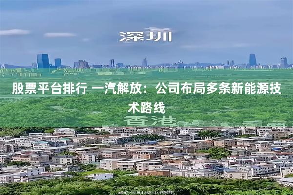 股票平台排行 一汽解放：公司布局多条新能源技术路线