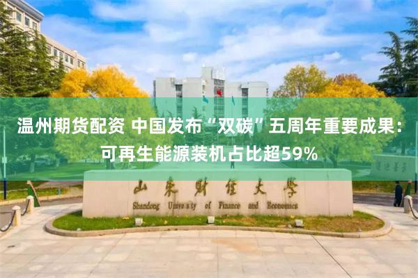 温州期货配资 中国发布“双碳”五周年重要成果：可再生能源装机占比超59%