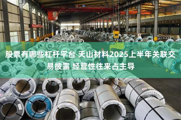 股票有哪些杠杆平台 天山材料2025上半年关联交易披露 经营性往来占主导