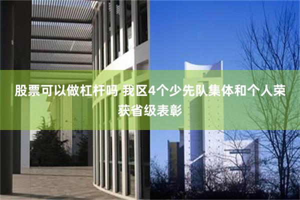 股票可以做杠杆吗 我区4个少先队集体和个人荣获省级表彰