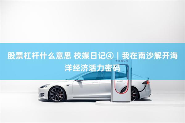 股票杠杆什么意思 校媒日记④|我在南沙解开海洋经济活力密码