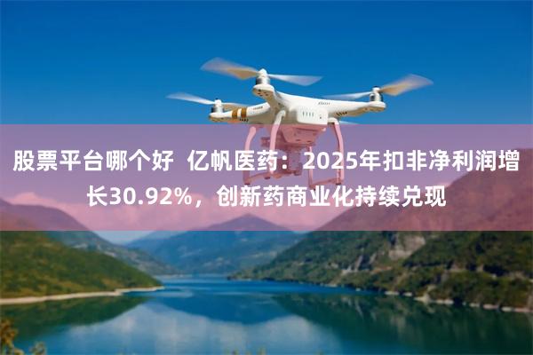股票平台哪个好  亿帆医药：2025年扣非净利润增长30.92%，创新药商业化持续兑现