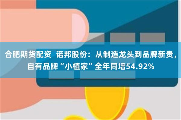 合肥期货配资  诺邦股份：从制造龙头到品牌新贵，自有品牌“小植家”全年同增54.92%