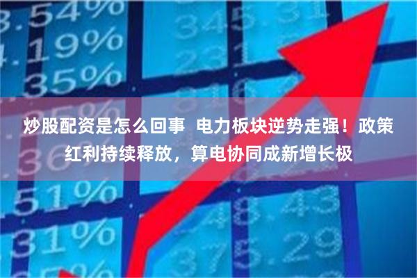 炒股配资是怎么回事  电力板块逆势走强！政策红利持续释放，算电协同成新增长极
