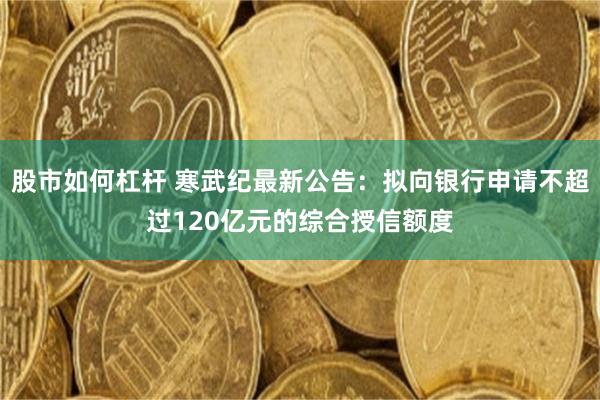 股市如何杠杆 寒武纪最新公告：拟向银行申请不超过120亿元的综合授信额度