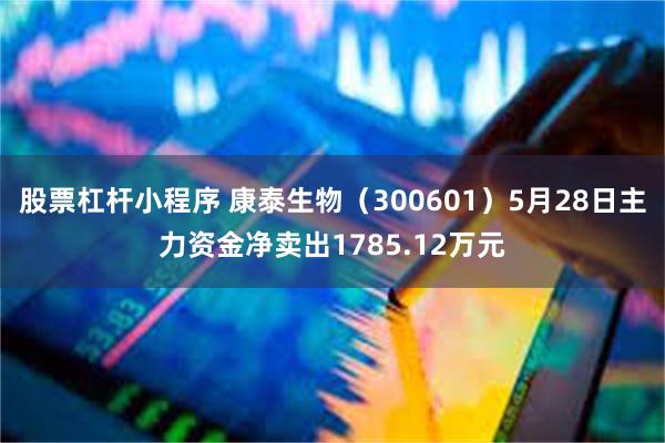 股票杠杆小程序 康泰生物（300601）5月28日主力资金净卖出1785.12万元
