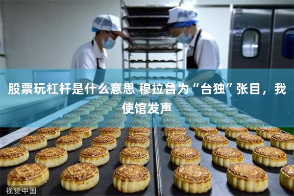 股票玩杠杆是什么意思 穆拉鲁为“台独”张目，我使馆发声