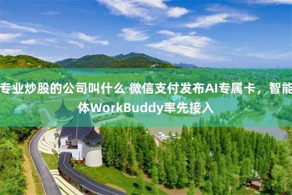 专业炒股的公司叫什么 微信支付发布AI专属卡,智能体WorkBuddy率先接入