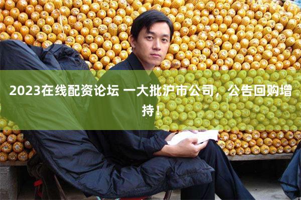 2023在线配资论坛 一大批沪市公司，公告回购增持！