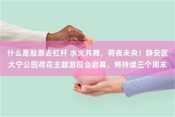 什么是股票去杠杆 水火共舞，荷夜未央！静安区大宁公园荷花主题游园会启幕，将持续三个周末
