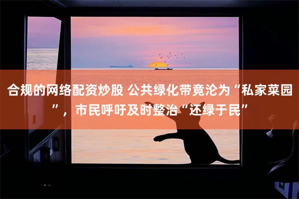合规的网络配资炒股 公共绿化带竟沦为“私家菜园”,市民呼吁及时整治“还绿于民”