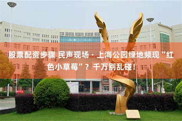 股票配资步骤 民声现场 · 上海公园绿地频现“红色小草莓”？千万别乱碰！
