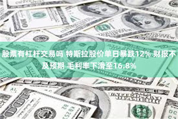 股票有杠杆交易吗 特斯拉股价单日暴跌12% 财报不及预期 毛利率下滑至16.8%