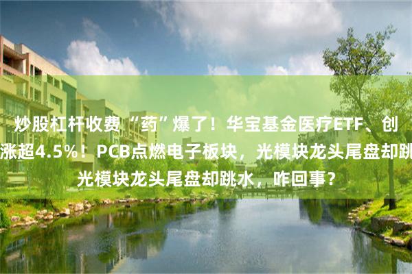 炒股杠杆收费 “药”爆了！华宝基金医疗ETF、创新药ETF集体涨超4.5%！PCB点燃电子板块，光模块龙头尾盘却跳水，咋回事？