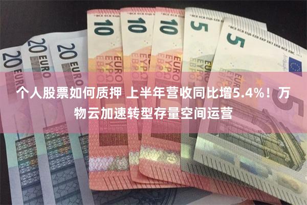 个人股票如何质押 上半年营收同比增5.4%！万物云加速转型存量空间运营