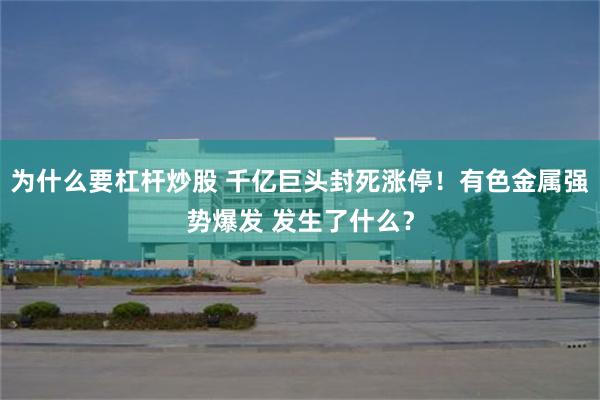 为什么要杠杆炒股 千亿巨头封死涨停！有色金属强势爆发 发生了什么？