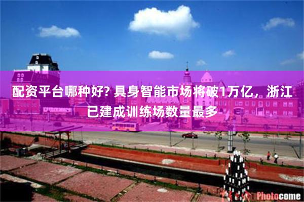 配资平台哪种好? 具身智能市场将破1万亿，浙江已建成训练场数量最多