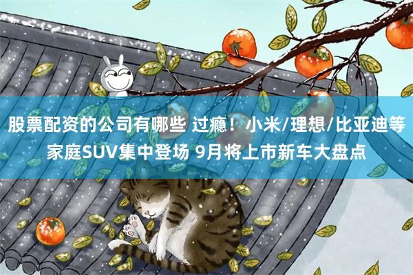 股票配资的公司有哪些 过瘾！小米/理想/比亚迪等家庭SUV集中登场 9月将上市新车大盘点
