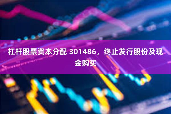杠杆股票资本分配 301486，终止发行股份及现金购买