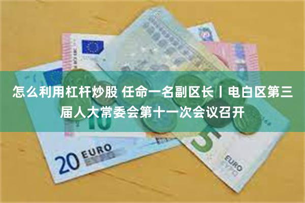 怎么利用杠杆炒股 任命一名副区长丨电白区第三届人大常委会第十一次会议召开