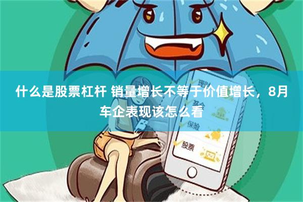 什么是股票杠杆 销量增长不等于价值增长,8月车企表现该怎么看