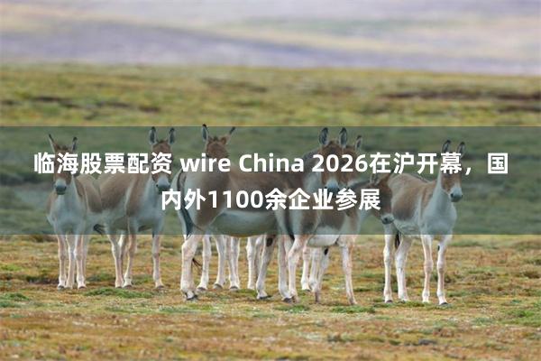 临海股票配资 wire China 2026在沪开幕，国内外1100余企业参展