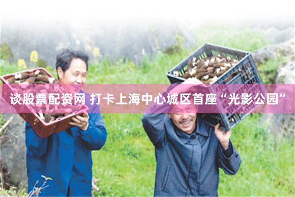 谈股票配资网 打卡上海中心城区首座“光影公园”
